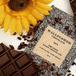 Wallflower Chocolate