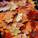 Gold and Copper Dipped Leaves by Goddess