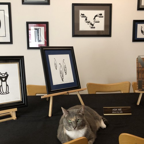 Cat Modern