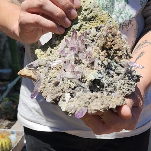 DirtBag Rocks
