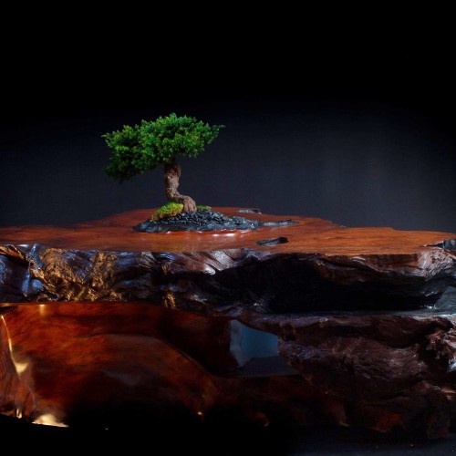 Arts Tree House