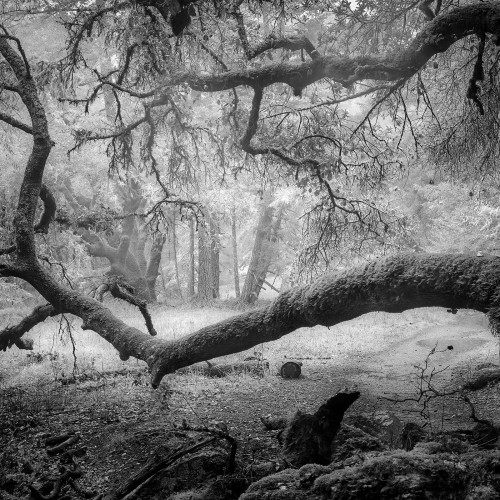 Warren Agee Photography