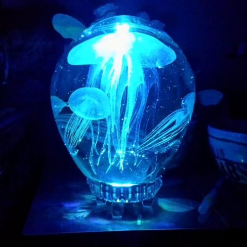 Raphael Originals Jellyfish