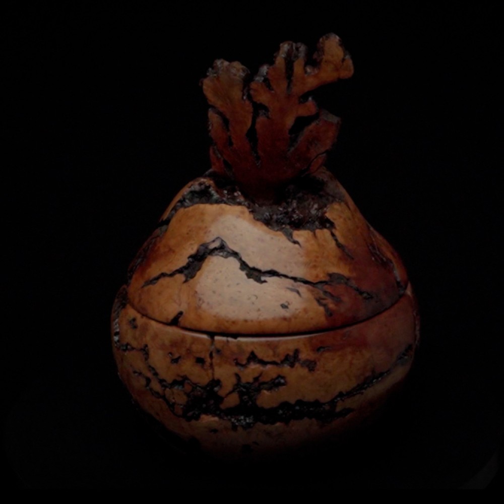 Sean Michael Wood Arts