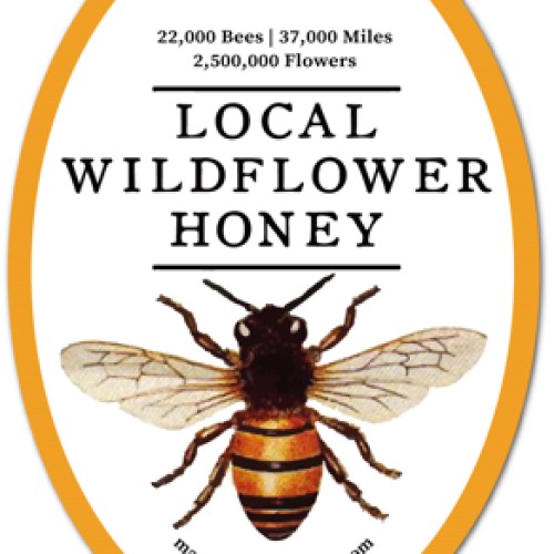 Mango Blossom Apiary Local Honey
