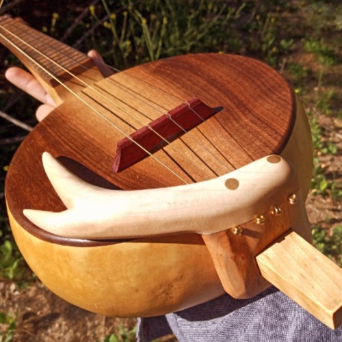 Jesse Head Natural Luthiership