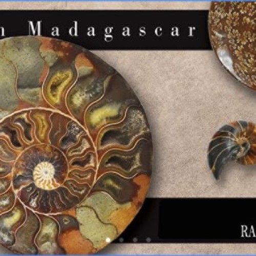 Madgascar Import Seam